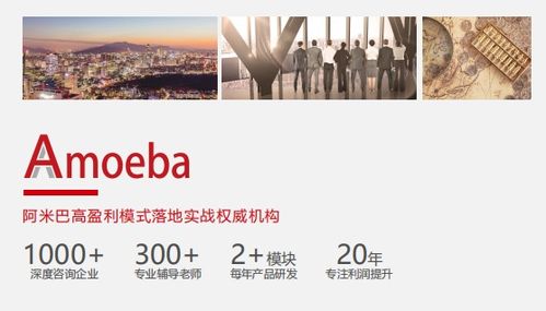 比佛利管理咨詢 推動(dòng)阿米巴模式落地，助力企業(yè)贏在管理